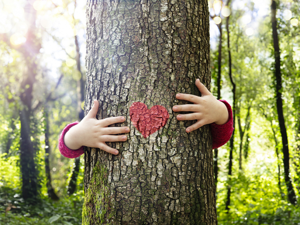 Tree Hugging - Love Nature - Child Hug The Trunk With Red Heart Shape